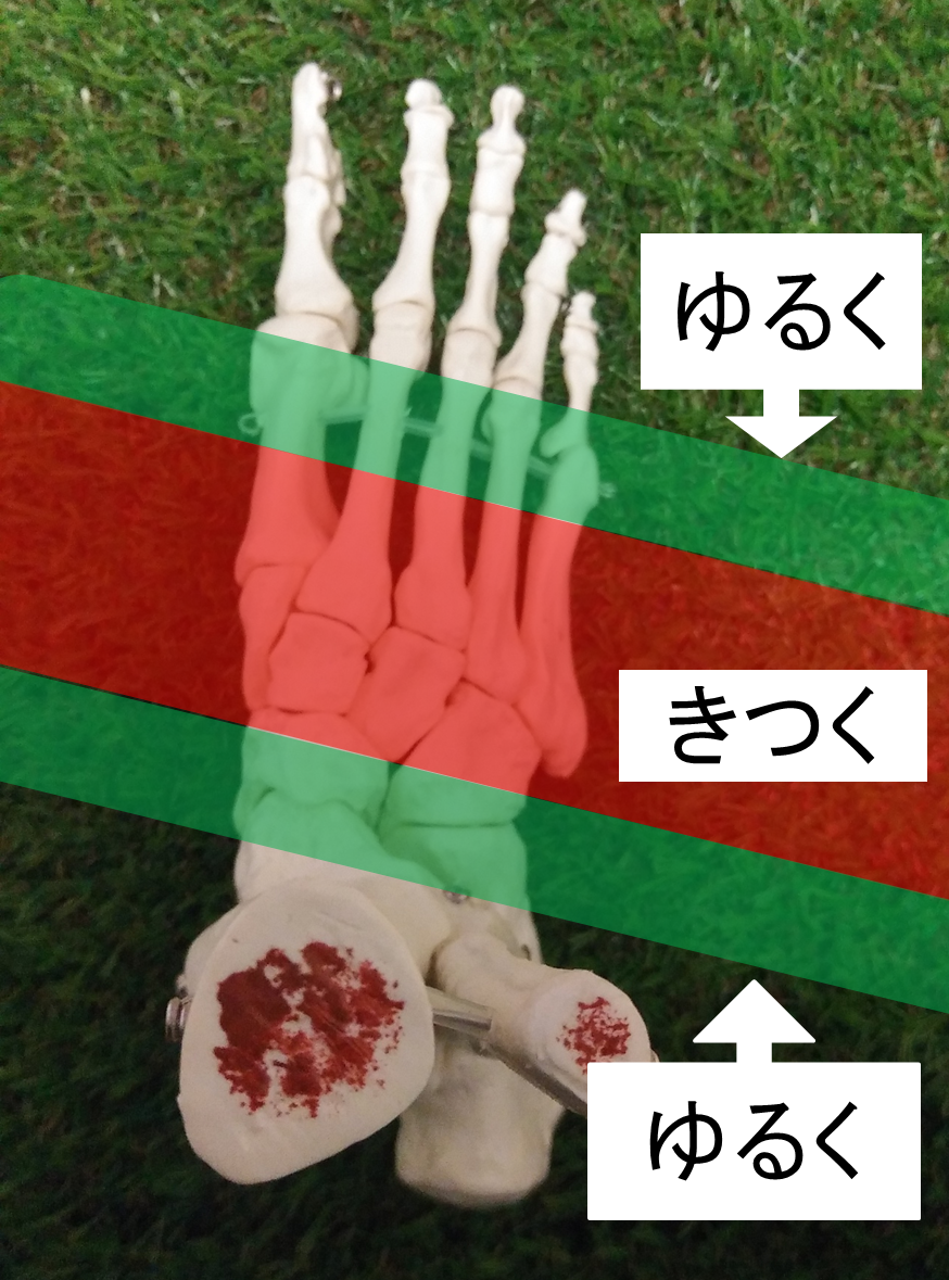 正しい靴の履き方 靴ひもを緩める位置と締める位置